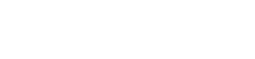 apex logo